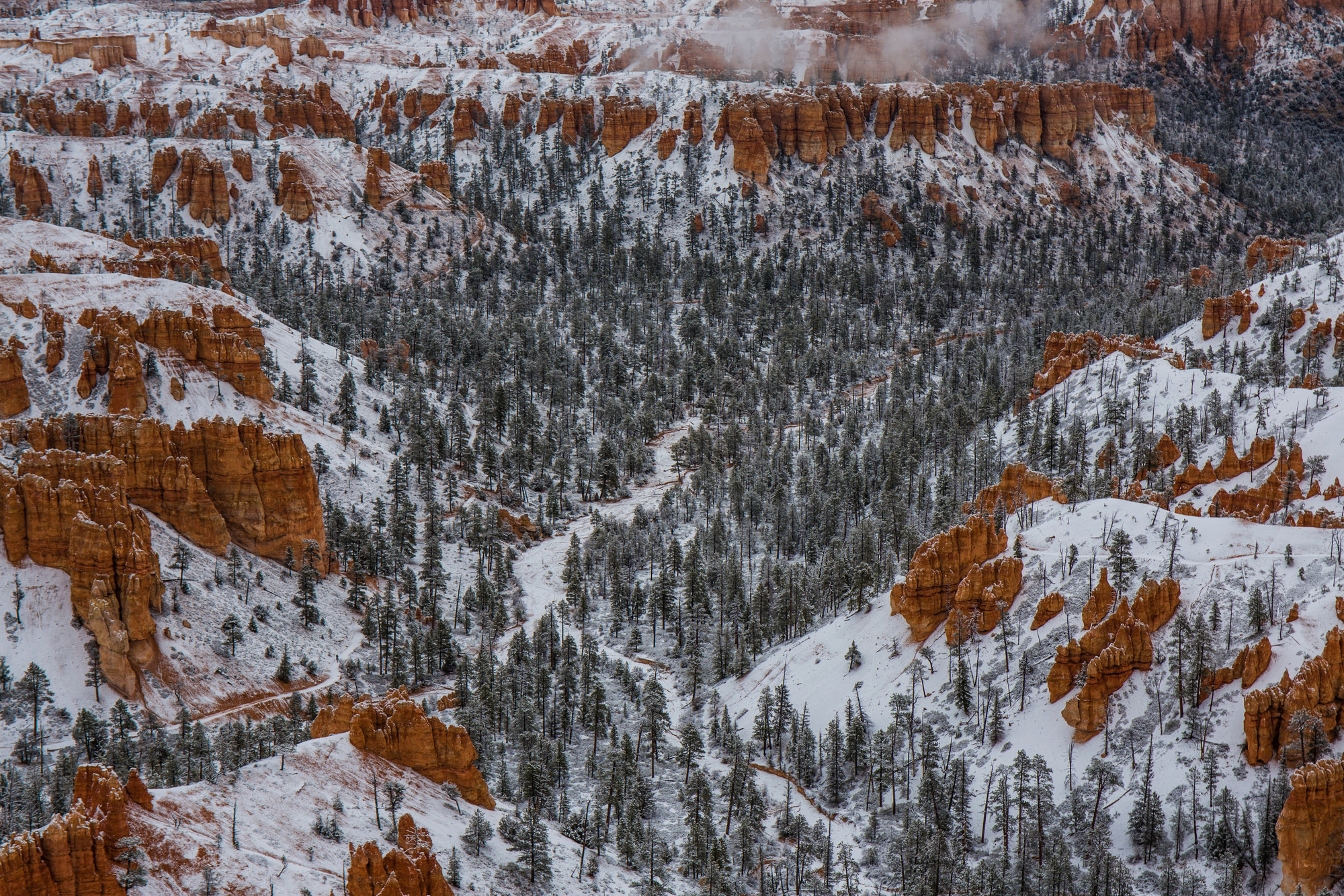 Zion National Park